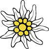 Edelweiss